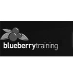 blueberry